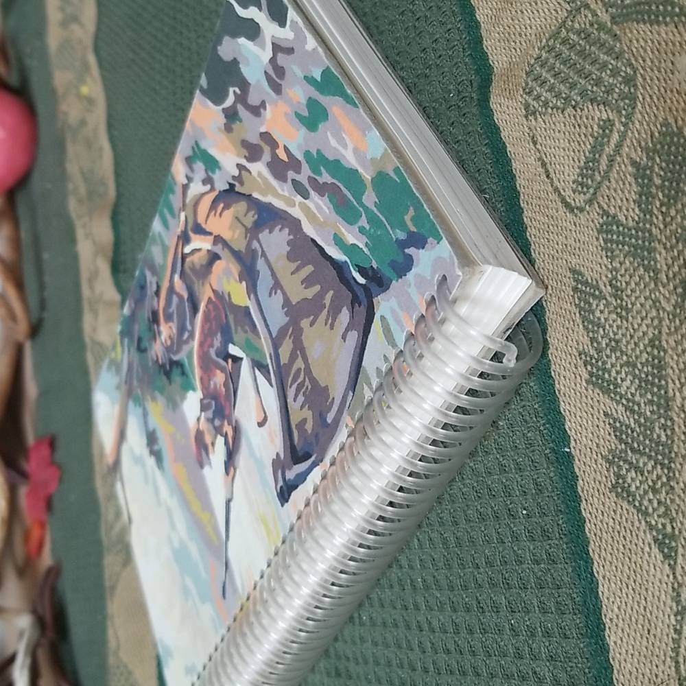 🌿SPIRAL CAMO NOTEBOOK - Picture 6 of 6